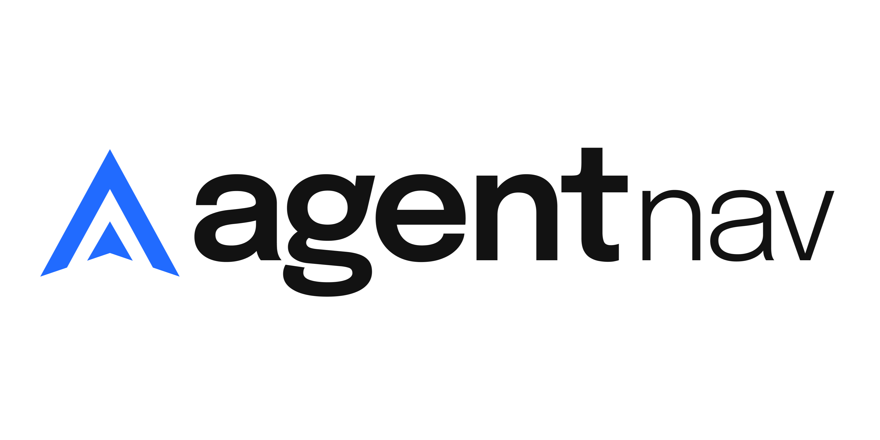 AgentNav