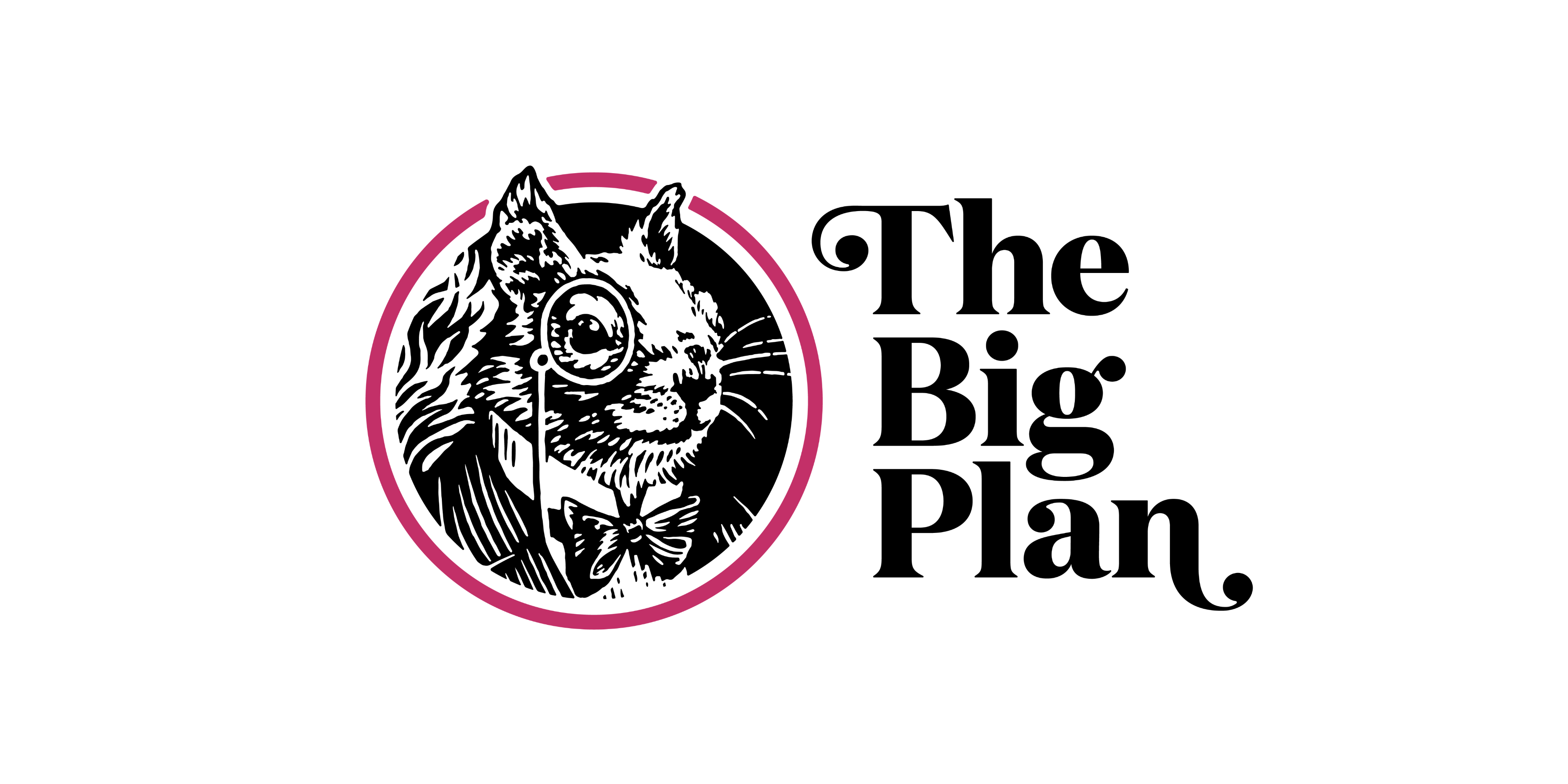 The Big Plan- ICHRA Administrator